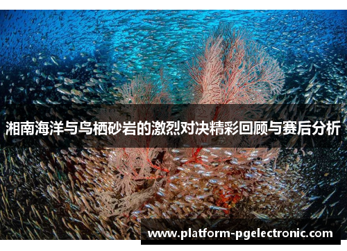 湘南海洋与鸟栖砂岩的激烈对决精彩回顾与赛后分析