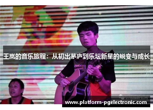 王岚的音乐旅程：从初出茅庐到乐坛新星的蜕变与成长